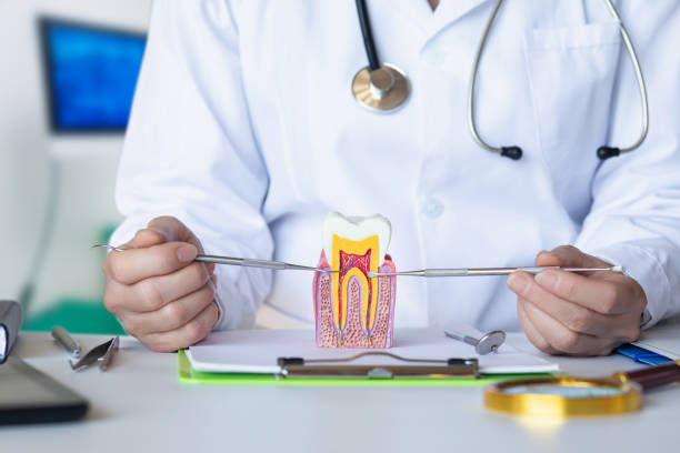 Best Emergency Dentist for Knocked-Out Tooth in West Belmar, NJ